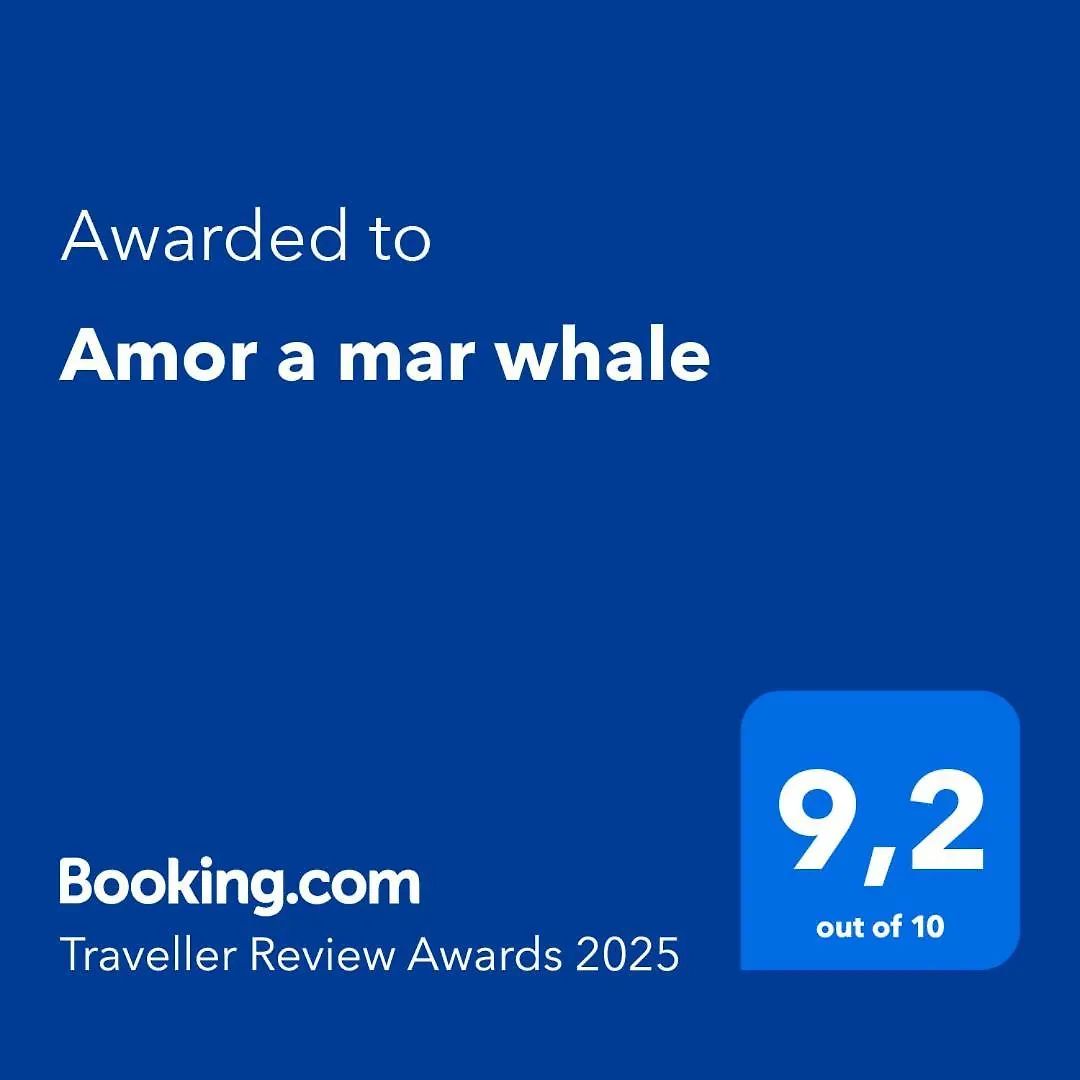 דירה פוארטו דל כרמן Amor A Mar Whale